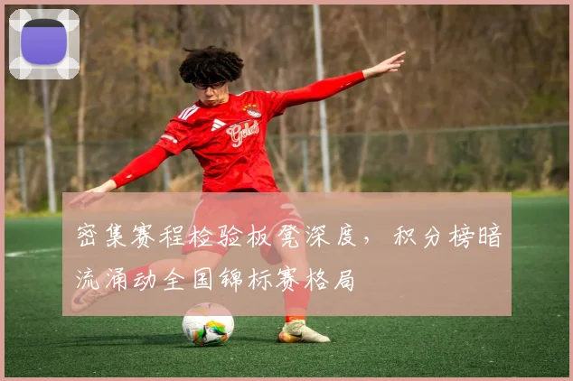 密集赛程检验板凳深度，积分榜暗流涌动全国锦标赛格局 - 百度体育
